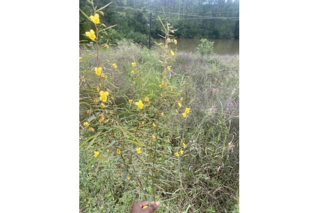 Artillerie plant